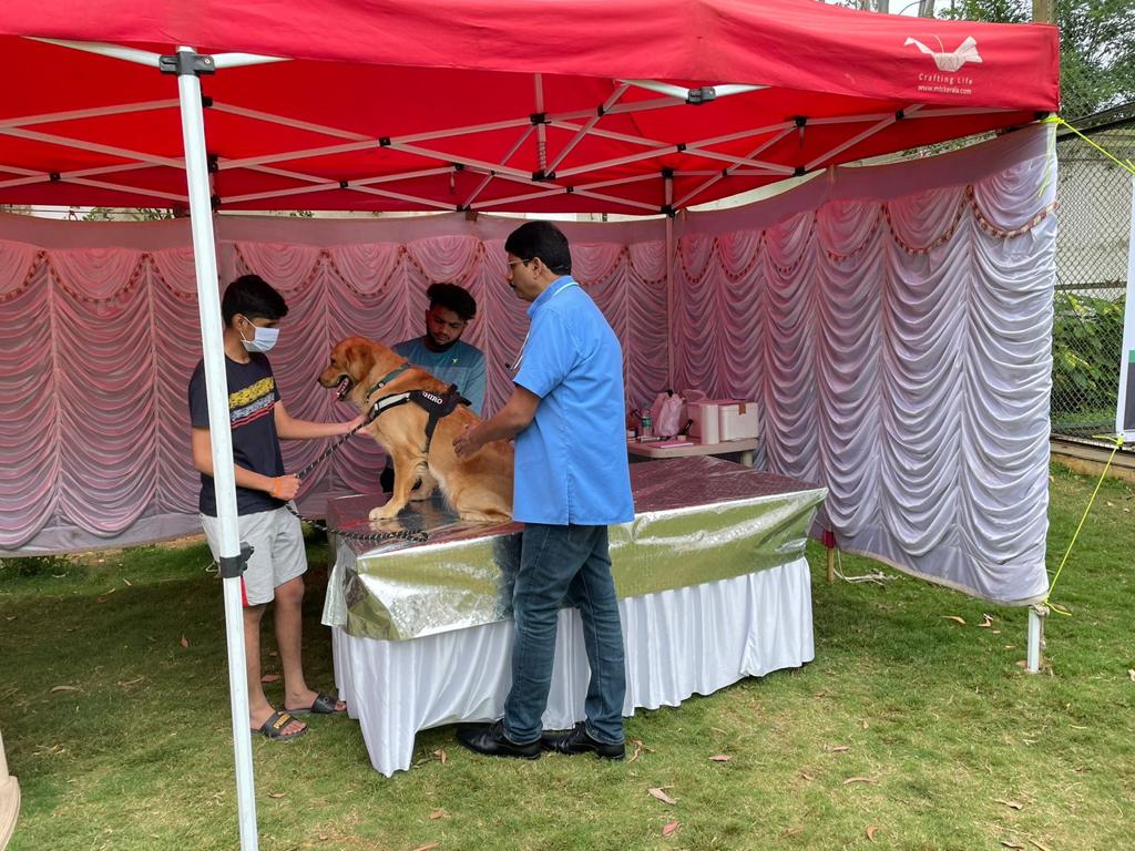 WhatsApp Image 2025-10-07 at 14.58